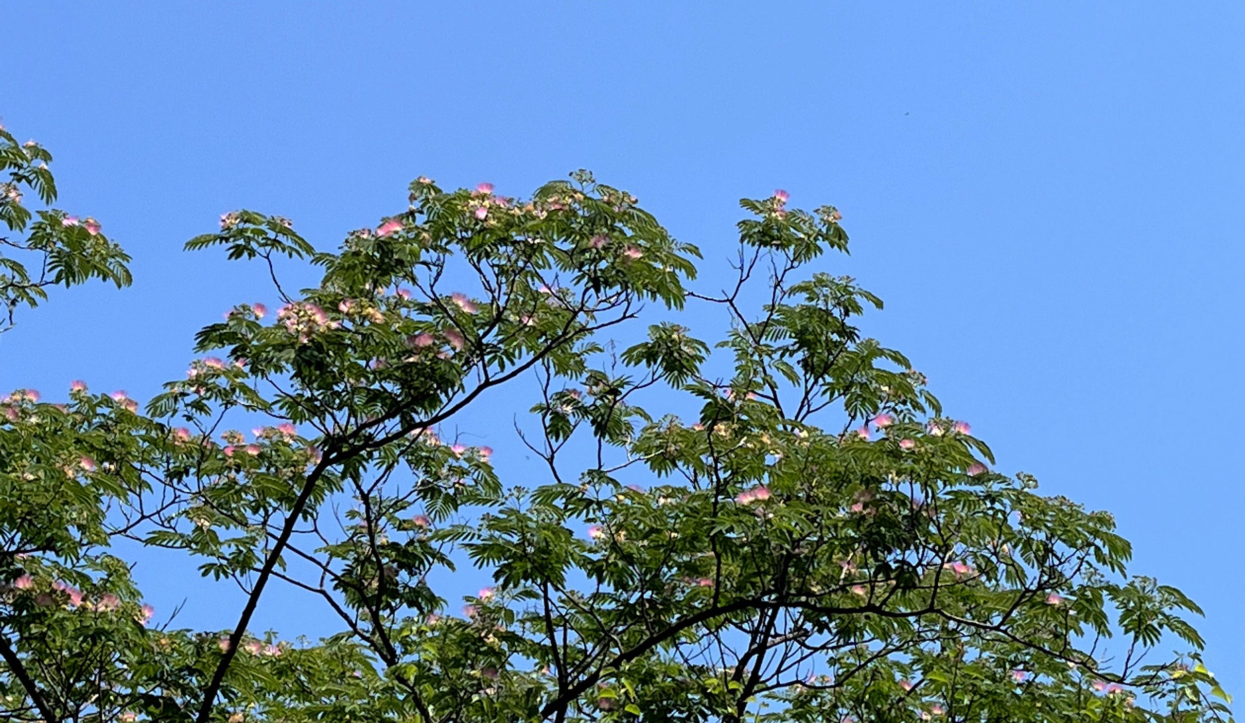 微信图片_202206111930142.jpg