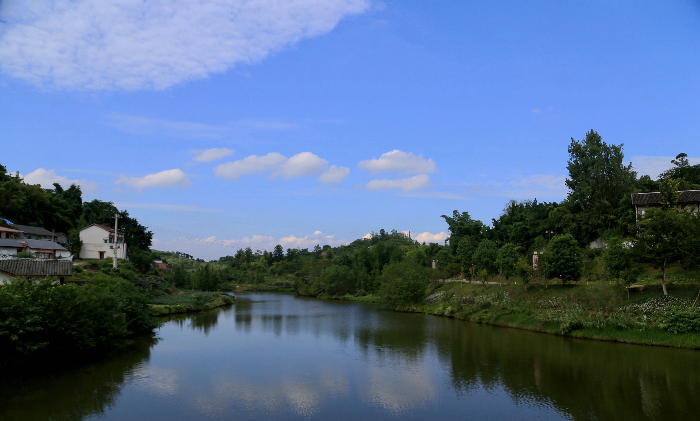 IMG_5828.JPG