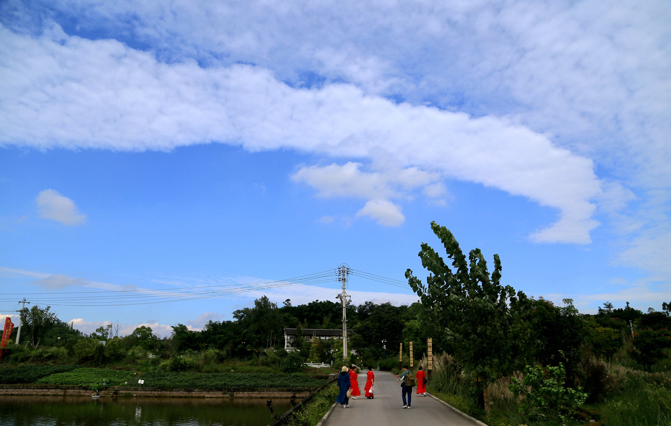 IMG_5834.JPG