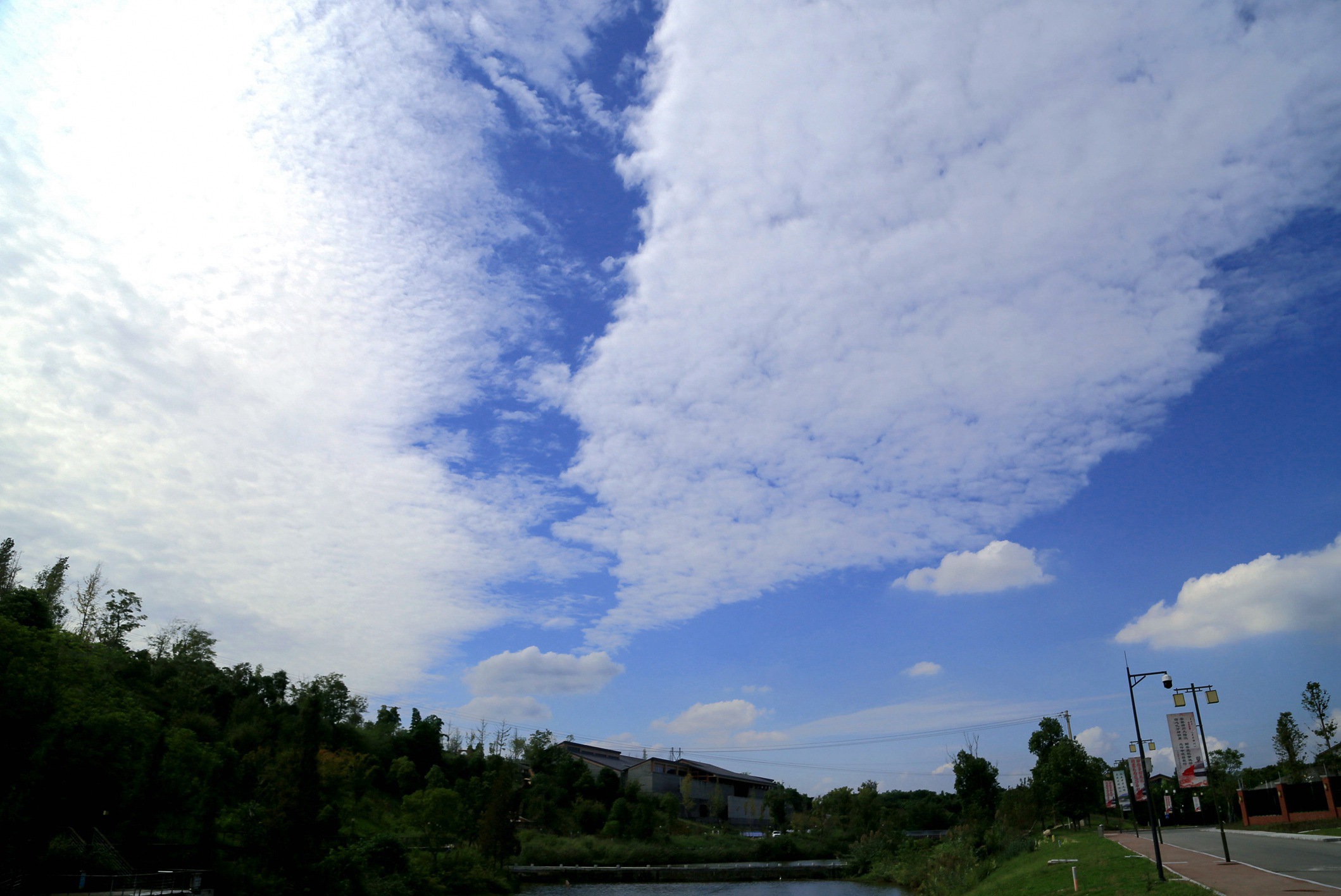 IMG_5823.JPG