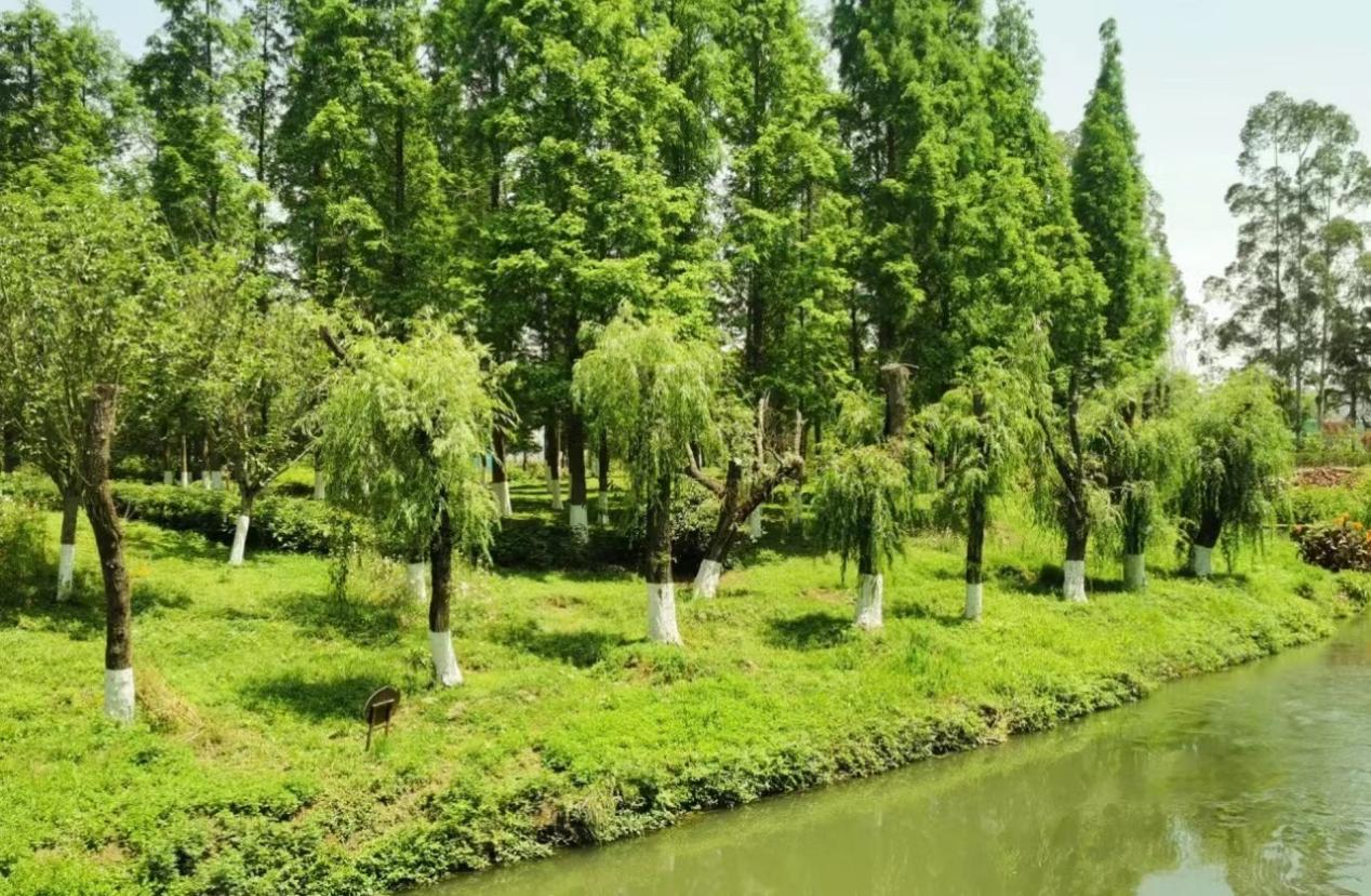 2023中铁逸都乐跑季即将在青白江凤凰湖公园开跑