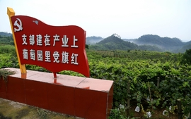 支部建在产业上，......