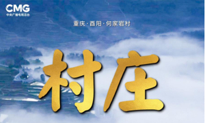 探索“共富乡村”,何家岩村十年“蝶变”亮相总台纪录片《村庄十年》 ...